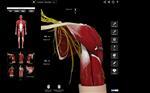   Anatomy III by 3D4Medical (Bundle)